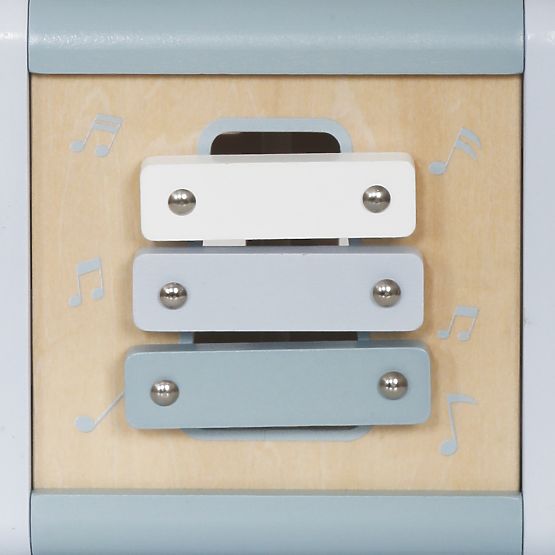 Kostka aktywności Bibi