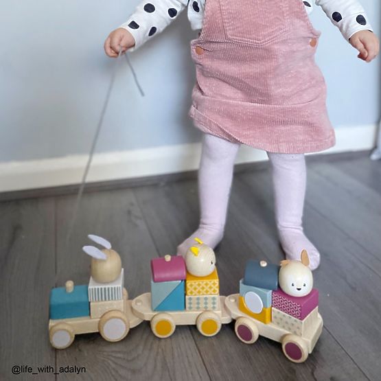 Bigjigs Baby Drewniany pociąg ze zwierzątkami - uszkodzone opakowanie