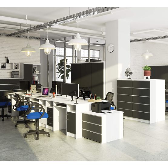 BIURKO ANA PK BIAŁE / SZARE