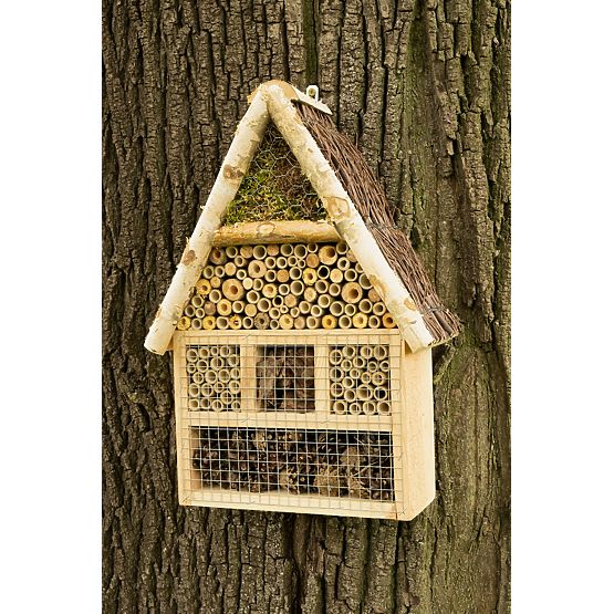 Dom dla owadów - hotel XXL