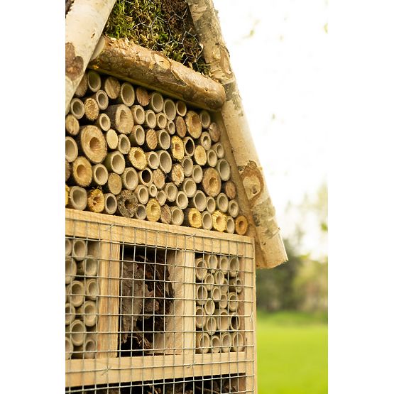 Dom dla owadów - hotel XXL