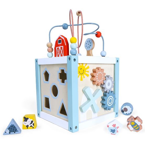 Drewniana edukacyjna kostka sorter + klocki ECOTOYS