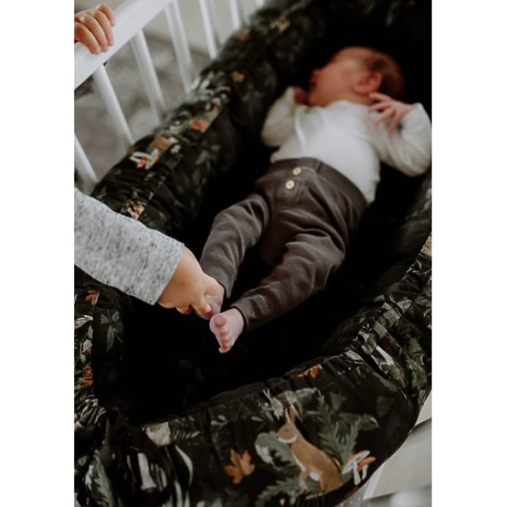 Dwustronne gniazdo Życie w lesie