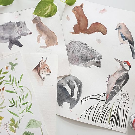 Dwustronne gniazdo Życie w lesie