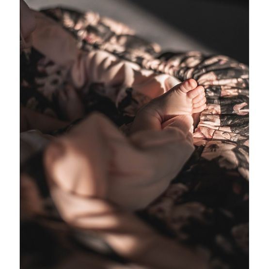 Dwustronne gniazdo Kwiaty nocne