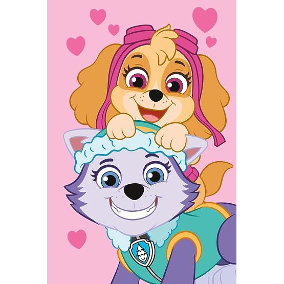 Koc z polaru Paw Patrol - Skye i Everest