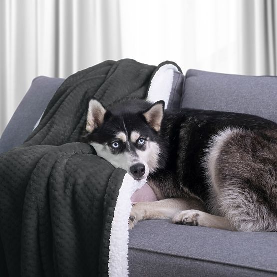 Kołdra SHLEEPY kolor grafitowy żakardowy klasyczny styl 170x210