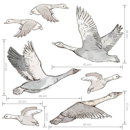Naklejki na ścianę - stado latających gęsi