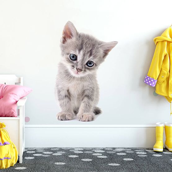 Naklejka ścienna - Kotek