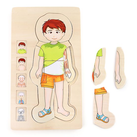 Puzzle drewniane z małą stopą Anatomia Tim