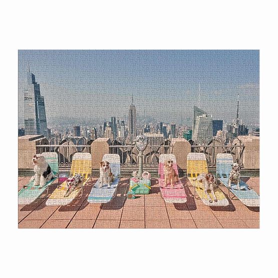 Puzzle Galison Psy w Nowym Jorku Gray Malin 1000 elementów