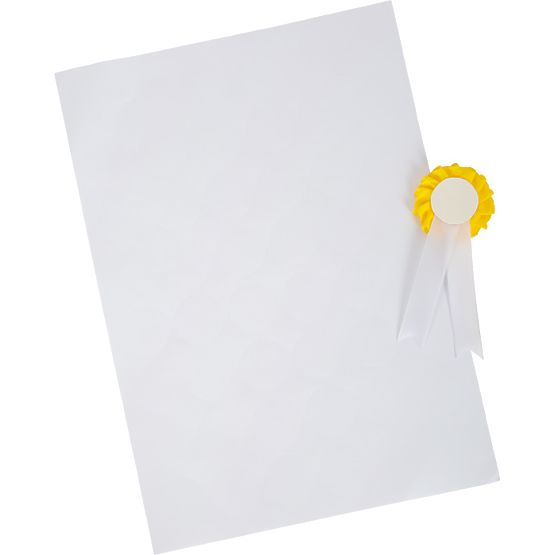 small foot Zestaw do pielęgnacji koni z torbą