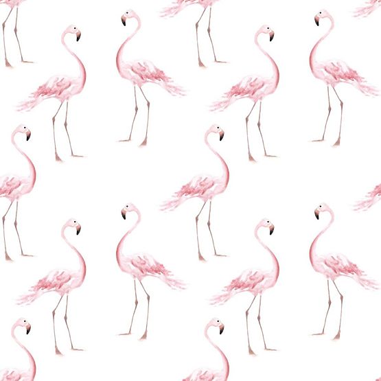 Tapeta DEKORNIK Flamingi