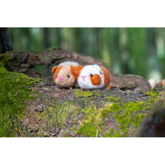 Zestaw do filcowania - Świnki morskie