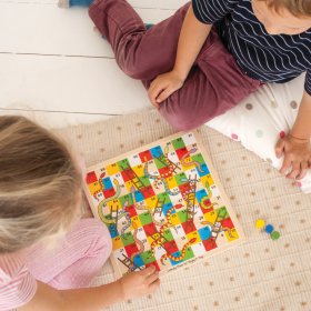 Bigjigs Zabawki Drabiny i Węże 2, Bigjigs Toys