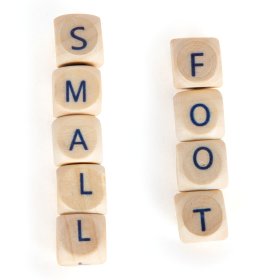 Drewniana gra Mała Stopa Tworzenie za pomocą liter, small foot