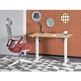 B53 biurko z regulacją wysokości, dąb artisan / biel