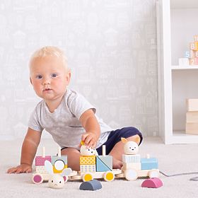 Bigjigs Baby Drewniany pociąg ze zwierzątkami - uszkodzone opakowanie, Bigjigs Toys
