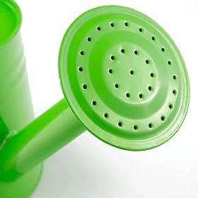 Bigjigs Toys Czajnik ogrodowy zielony