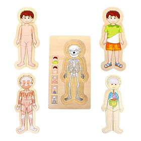 Puzzle drewniane z małą stopą Anatomia Tim