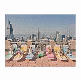 Puzzle Galison Psy w Nowym Jorku Gray Malin 1000 elementów