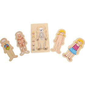 Drewniane puzzle anatomiczne małej stopy