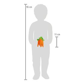 small foot Filcowe jedzenie marchewki, small foot